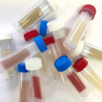 Liqu-Cult Microbial test kit