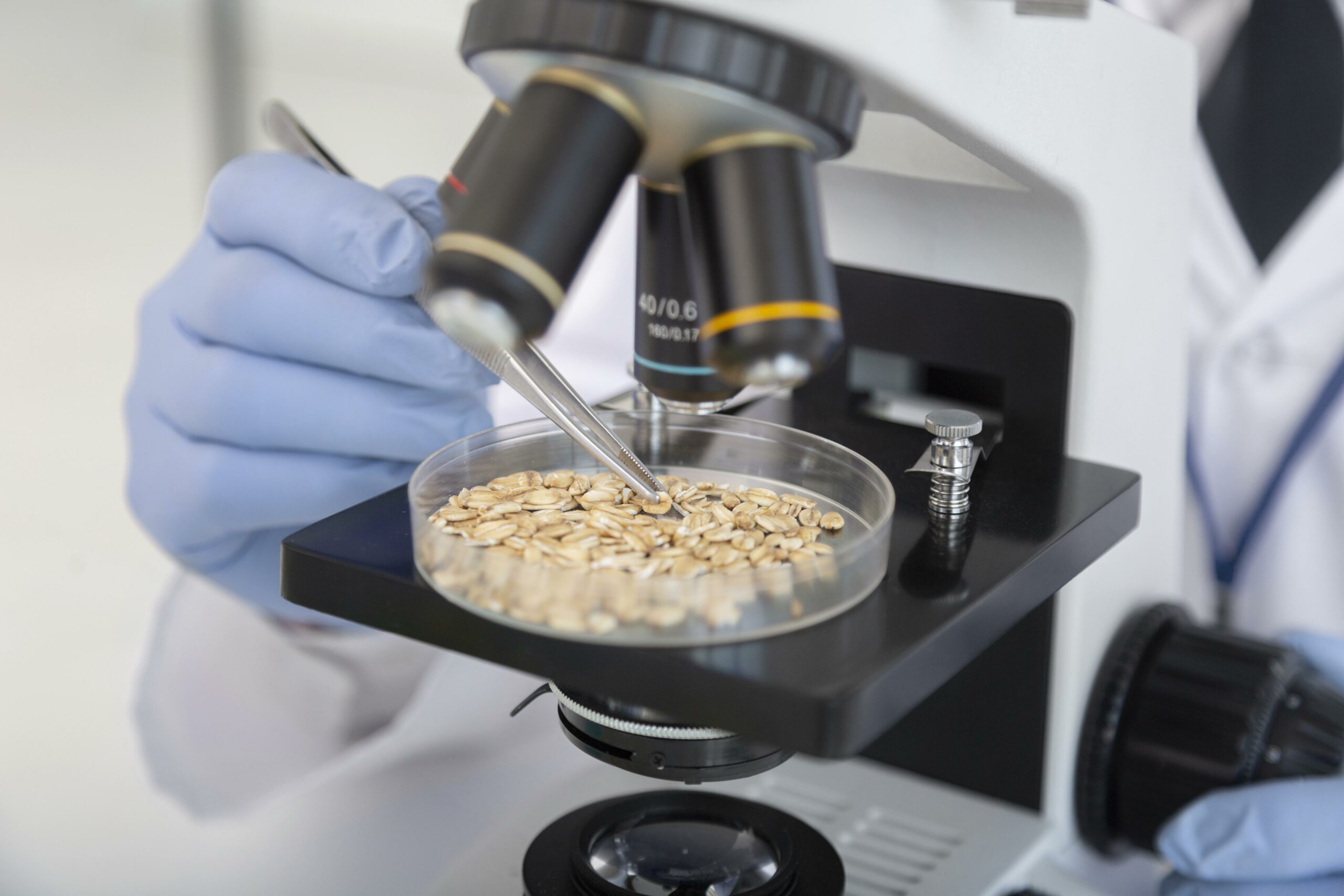 Extensive Guide: The Role of Microbial Analysis in Food Safety